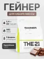 THE 21 Gainer Гейнер Шоколад /Спортивное питание для набора массы веса медленными быстрыми углеводами, 2,4кг