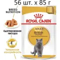 Влажный корм для кошек Royal Canin British Shorthair Adult, для взрослых кошек породы британская короткошерстная, 56 шт. х 85 г (кусочки в соусе)