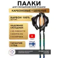 Палки для скандинавской ходьбы цельные Finpole SP карбоновые 100 см