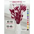 Сухоцвет Лагурус для декора Trava Decor букет цветов для вазы, фуксия