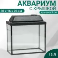 Аквариум Прямоугольный Атолл с крышкой, 13 литров, 30 х 16 х 26/31 см, чёрный