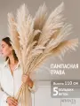 Пампасная трава высокая 110см, Сухоцветы для декора ARANTA, 5 веток