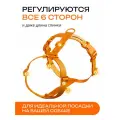 Шлейка для собак средних и крупных пород анатомическая размер L, оранжевая, PRO COMFORT