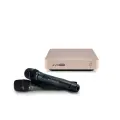Караоке-система для дома EVOBOX Gold с микрофонами SE 200D.
