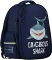 Рюкзак школьный для мальчиков Bruno Visconti DANGEROUS SHARK 1 класс, ранец школьный непромокаемый арт.12-009-091/02