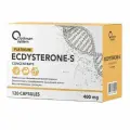 Экдистерон - тестостероновый бустер Ecdysterone-S Concentrate 400 мг 120 капс (Optimum System)