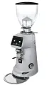 Кофемолка Fiorenzato F83 E серый