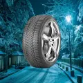 Зимние шины 19/255/45 Nexen Winguard Sport 2 104V XL