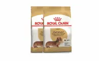 Royal Canin Dachshund Adult для взрослых собак породы Такса - 1,5 кг х 2 шт.