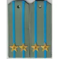 Погоны сорочка ВДВ (старого образца) , подполковник