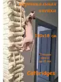 Вертикальная Змейка 160х18х3,2 см. С креплениями. Catbridges Настенный мост для кошек. Когтеточка. Лежанка.