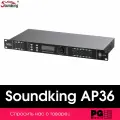 Цифровой спикер процессор Soundking AP36