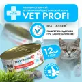 Влажный диетический корм Best Dinner VET PROFI GastroIntestinal для кошек при заболеваниях ЖКТ Индейка (12шт х 100гр)