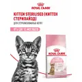 Сухой корм для стерилизованных котят Royal Canin Kitten Sterilised, 3,5 кг