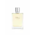 HERMES Мужская парфюмерная вода TERRE D'HERMES EAU GIVREE EDP 100 мл