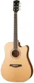 S66 Электро-акустическая гитара, дредноут с вырезом, с чехлом, Parkwood