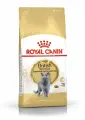 Royal Canin British Shorthair Adult Корм сухой для взрослых британских короткошерстных кошек, вес 400 гр.