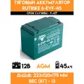 Тяговый аккумулятор RuTrike 6-EVF-45 (12V45A/H C3)