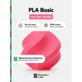 Пластик PLA Basic Bambu Lab, 1кг (На катушке), Hot Pink (10204), розовый