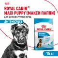 Сухой корм ROYAL CANIN MAXI PUPPY для щенков крупных пород в возрасте от 2 до 15 месяцев, 15 кг