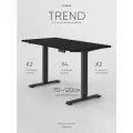 Стол компьютерный с подъемным механизмом регулируемый по высоте 2-х моторный liftdesk Trend Черный/Черный, ЛДСП Egger 117х67.5х2.5 см