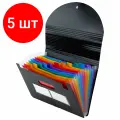 Комплект 5 шт, Папка-органайзер для бумаг и документов на резинке, 13 отделений, BRAUBERG DOCS, А4, черная, 271152