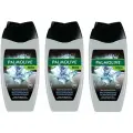 Palmolive Гель для душа Men, Арктический ветер 3в1, для тела лица и волос, 250 мл, 3 уп.