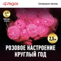 Электрогирлянда Vegas Нить Шары Ротанговые, 20 LED ламп, 2,5м, IP20, 1,8Вт, розовый