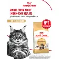 Корм сухой ROYAL CANIN Maine Coon для кошек породы Мейн-кун 2 кг
