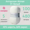 Пряжа Пехорка Ангорская теплая цвет 01 белый (100г/480м, упаковка 5 мотков)