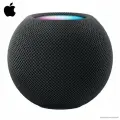 HomePod mini для iPhone/iPad Smart Audio Bluetooth стерео умный дом black