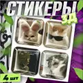 Наклейки на телефон / 3д стикеры на чехол / котята мем