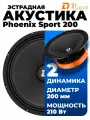 Эстрадная акустика DL Audio Phoenix Sport 200