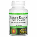 (100% iHerb)-Natural Factors, Lactase Enzyme, фермент лактаза, 9000 FCC ALU, 60 капсул