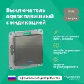 Механизм выключателя 1-кл. СП AtlasDesign 10А IP20 (сх. 1а) 10AX с подсветкой сталь SchE SCHNEIDER ELECTRIC ATN000913 (1 шт.)