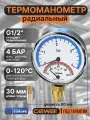 Термоманометр радиальный CEWAL TRR80 VI, (0-4Bar 0-120C) Италия