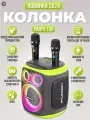 Мощная беспроводная Bluetooth караоке (2-а микрофона) колонка 120 Ват HOPESTAR POWERFUL PARTY 130