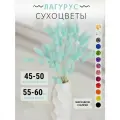 Сухоцветы для декора Букет сухоцветов лагурус