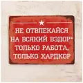 Прикольная табличка Только Хардкор, металл, 20х30 см