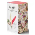 Newby Strawberry & Mango 2 г х 25 пак. черный ароматизированный чай картонная упаковка 50 г (30158)