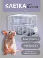 Клетка 30х23х25,7 см для хомяка джунгарского, мышей и мелких грызунов, серая укомплектованная, N1