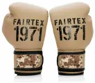 Перчатки для бокса Fairtex BGV25 F-DaY2 14 унций
