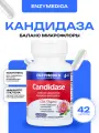 Кандидаза Enzymedica Candidase, для поддержки баланса микрофлоры, 42 капсулы