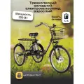 Электровелосипед трехколесный для взрослых РВЗ Чемпион, СКЛАДНОЙ, черный 250,12