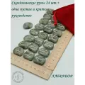 Скандинавские руны с возможностью проживания рун. Лабрадор №26/243, 2,4-2,7 см, плашки