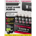 L-карнитин 6000 SPORTTECH, черная смородина, 20 ампул*25мл, жиросжигание, похудение, сушка, энергия, работоспособность
