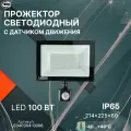 Прожектор LEEK LED FL IR, 100Вт, с датчиком движения, IP65, черный