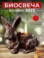 Биокамин настольный, биосвеча OGNIVDOM Кролик 2023 бордовый