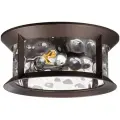 Уличный потолочный светильник Odeon Light Mavret 4961/2C