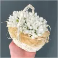 Подснежники 101 шт в корзинке 16х12см, h=10см арт. 11834 - Просто роза ру